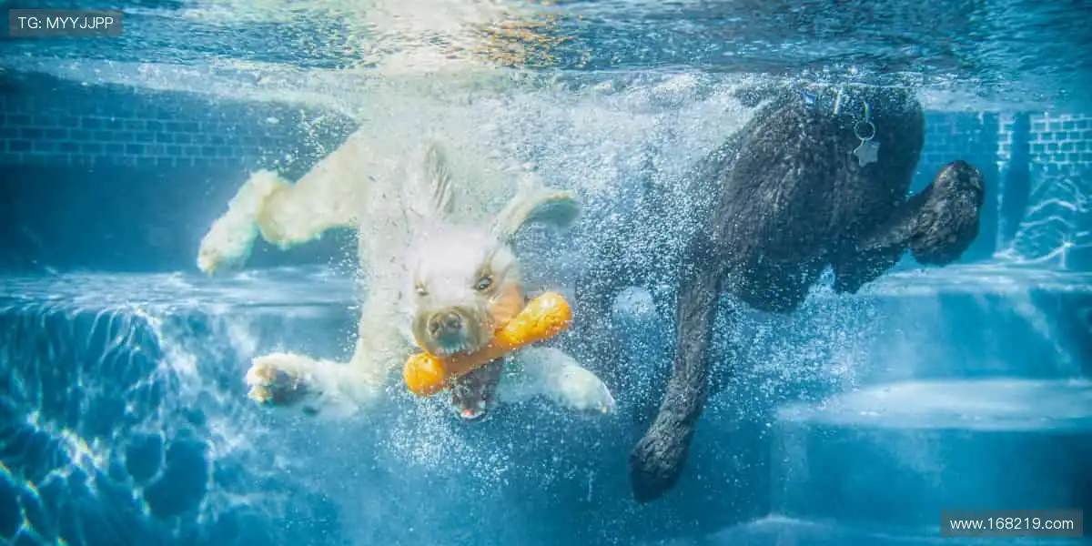 加入体育社区，一起挥洒汗水，共创辉煌！